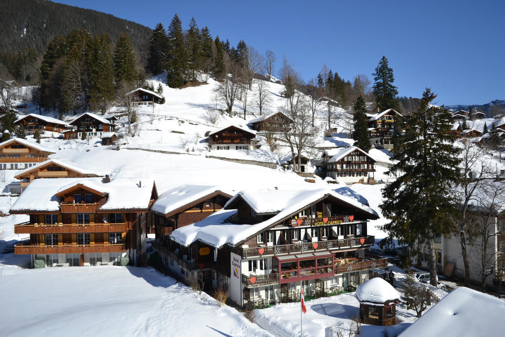 Apartment Residence Caprice Grindelwald Pokoj fotografie