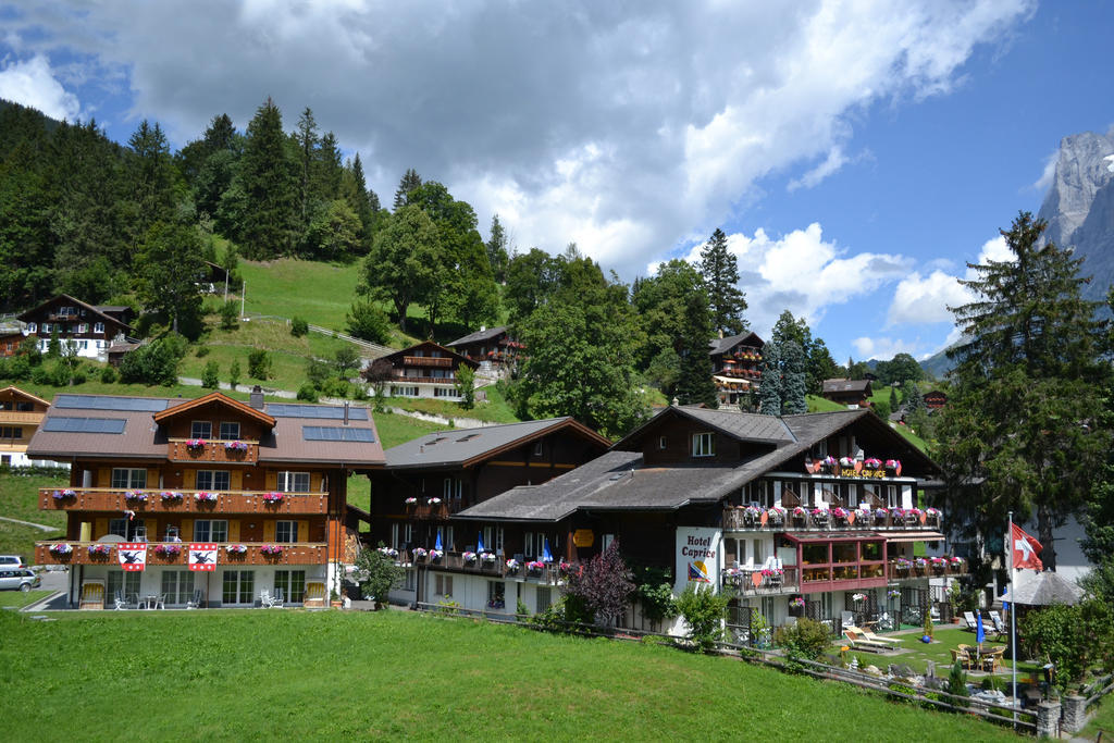 Apartment Residence Caprice Grindelwald Pokoj fotografie